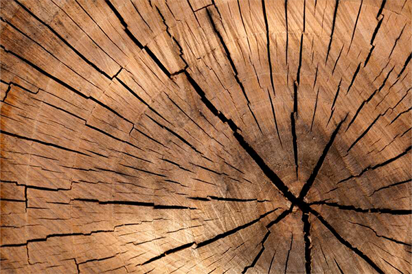 10 کاربرد چوب